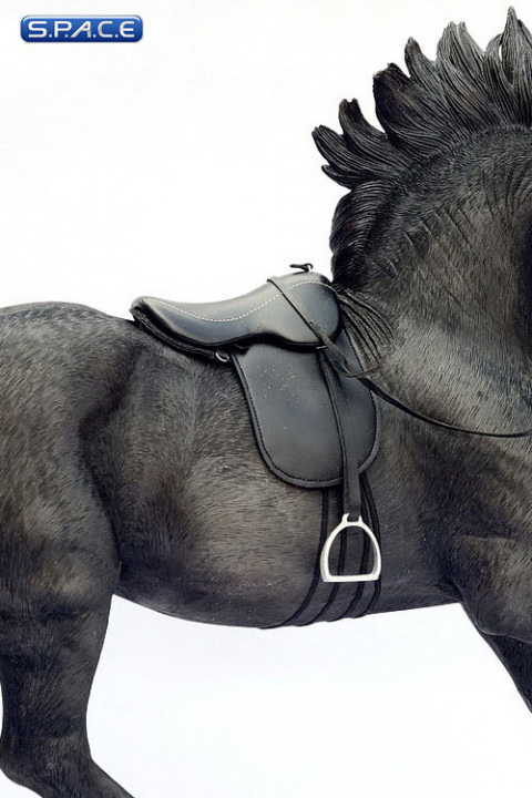 1/6 Scale black Saddle