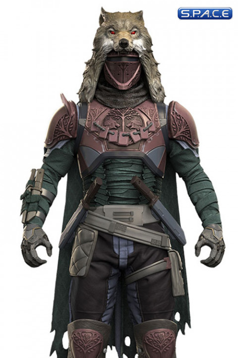 Hunter Iron Banner from Destiny (Color Tops)