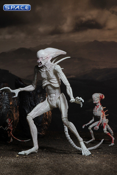 Neomorph (Alien: Covenant)