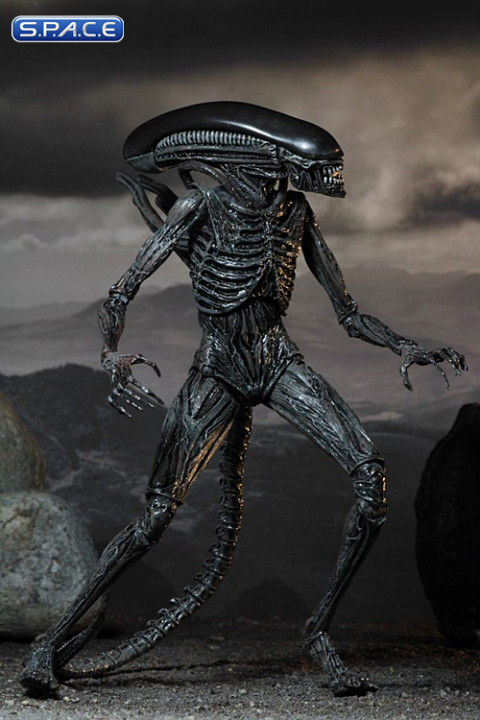 Xenomorph (Alien: Covenant)