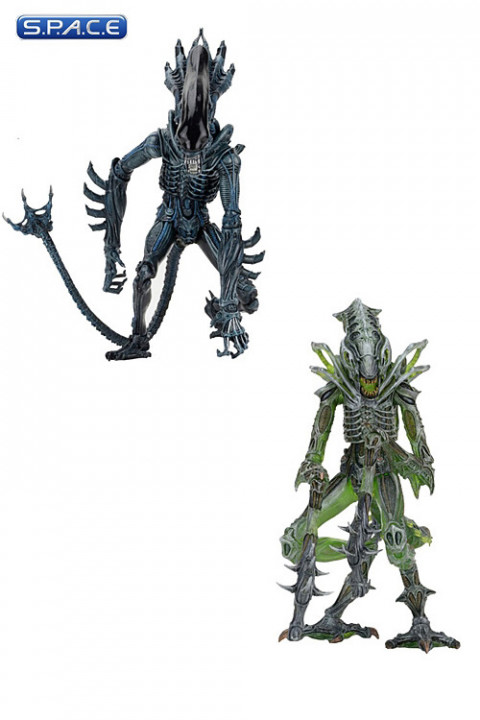 Set of 2: Aliens Series 10 (Aliens)