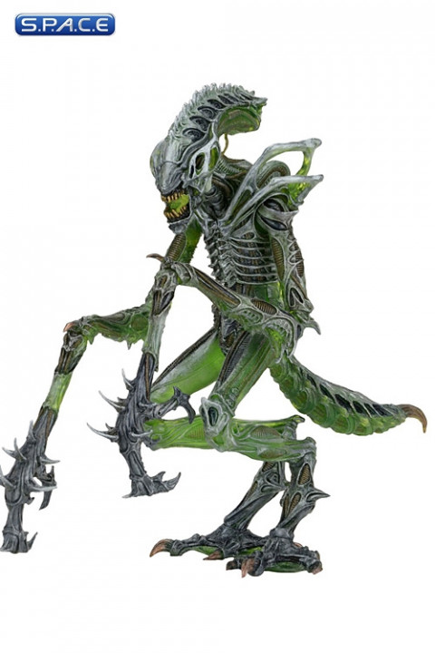 Mantis Alien from Aliens Series 10 (Aliens)