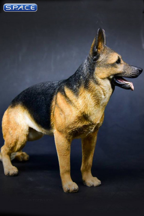 1/6 Scale German Shepherd