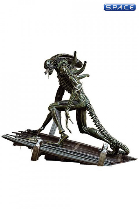 Alien Warrior (Aliens)