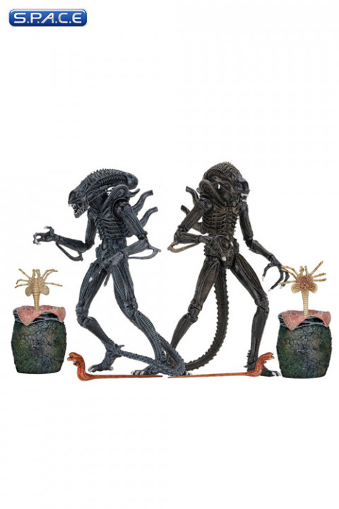 Set of 2: Ultimate Alien Warrior (Aliens)