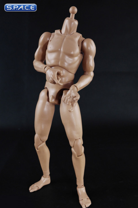 1/6 Scale Standard Muscle Arm Body