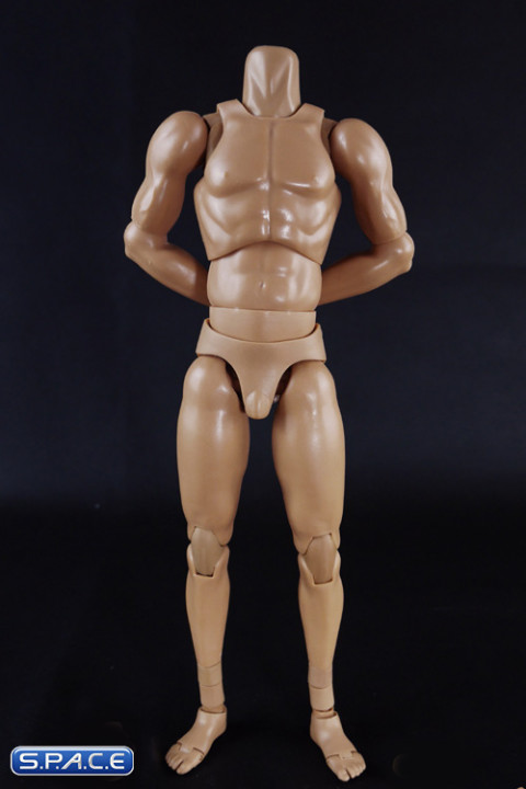 1/6 Scale Standard Muscle Arm High Body