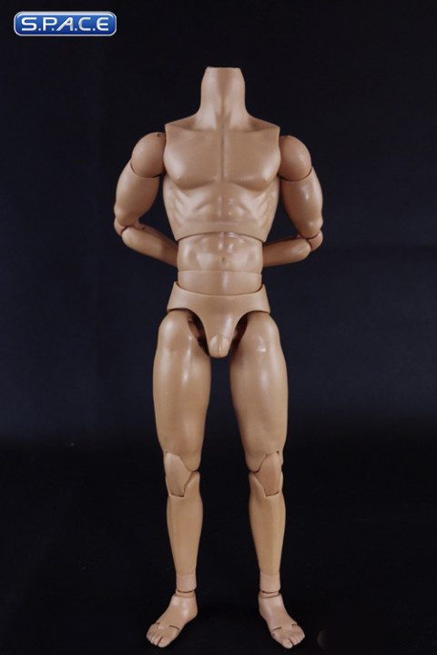 1/6 Scale Muscle male high Body