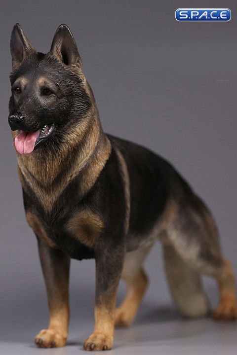 1/6 Scale rich saddle sable German Shepherd Dog