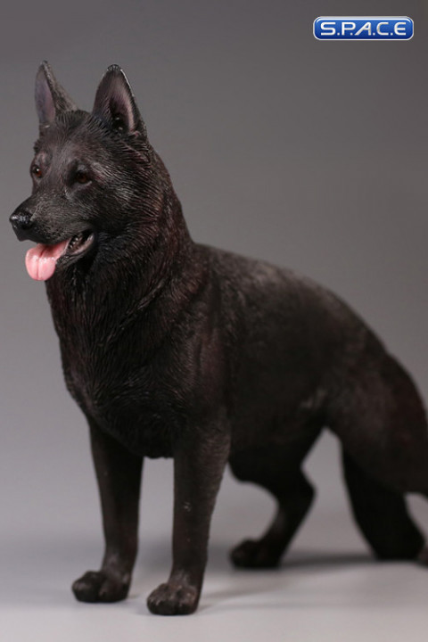 1/6 Scale black German Shepherd Dog