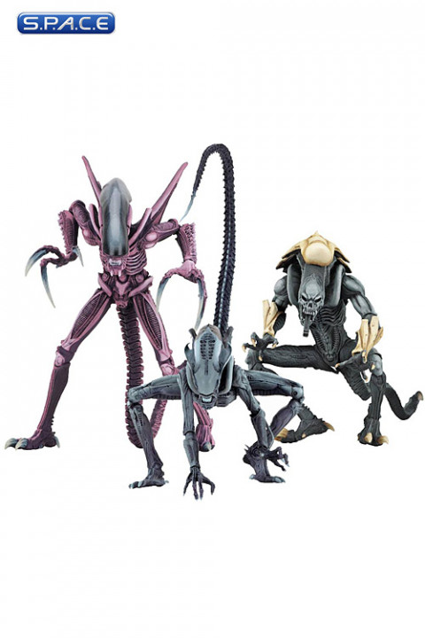 3er Komplettsatz: Alien vs. Predator Arcade Appearance Serie 2 (Alien vs. Predator)