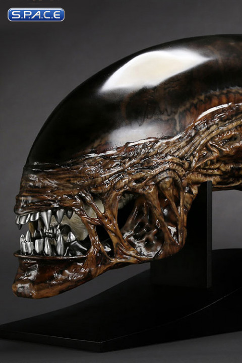 1:1 New Alien Warrior Life-Size Head (Alien Resurrection)