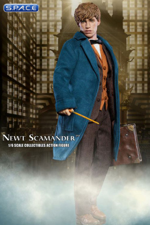 1/6 Scale Newt Scamander (Fantastic Beasts and Where to Find Them)