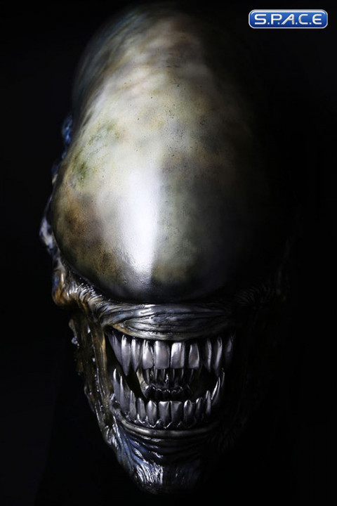 1:1 Xenomorph Life-Size Head (Alien: Covenant)