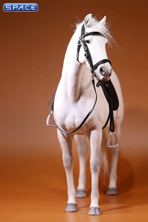 1/6 Scale white Hanoverian Warmblood Horse