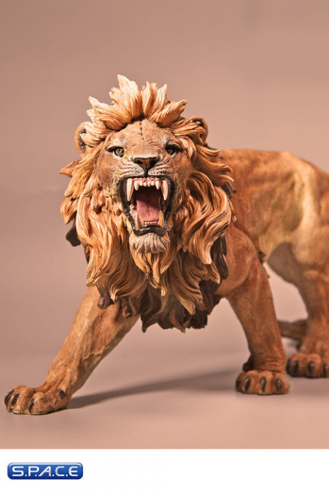 1/6 Scale African Lion deep color