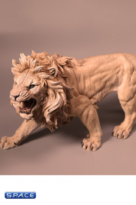 1/6 Scale African Lion light color