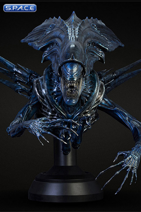 1/3 Scale Alien Queen Bust (Alien vs. Predator)