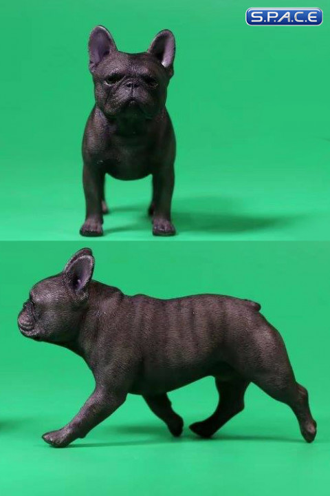 1/6 Scale tan French Bulldogs 3.0