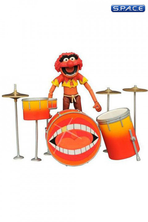 Animal with Drums (Muppets)