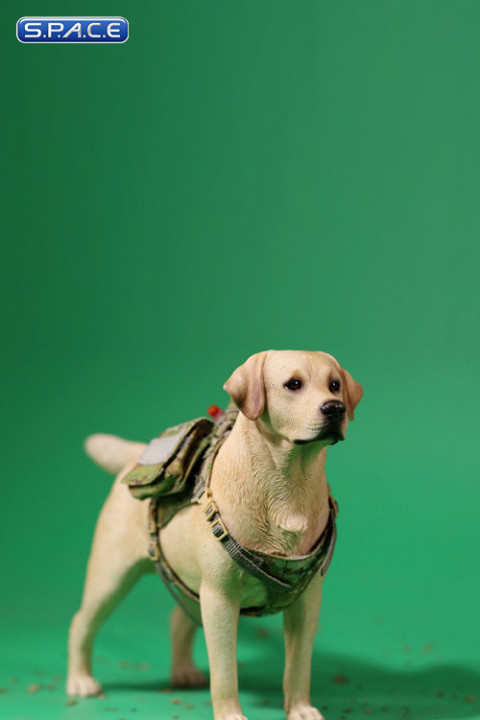 1/6 Scale Tactical Canine Vest