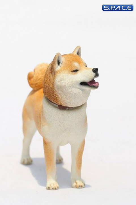 1/6 Scale Shiba Inu red