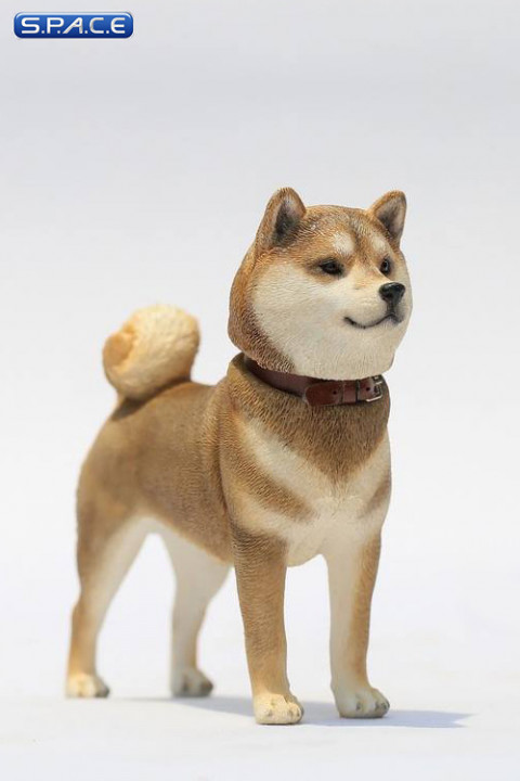 1/6 Scale Shiba Inu red-sesame