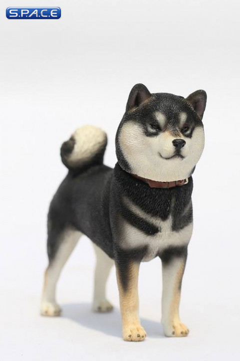 1/6 Scale Shiba Inu black