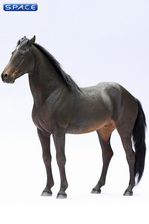 1/6 Scale dark brown Ili Horse