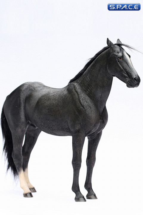1/6 Scale grey Ili Horse