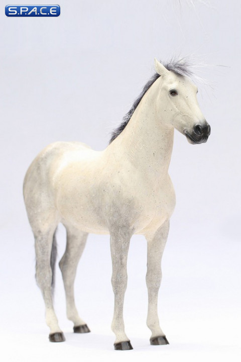 1/6 Scale white Ili Horse
