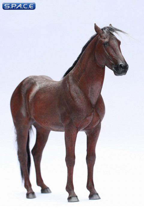 1/6 Scale brown Ili Horse