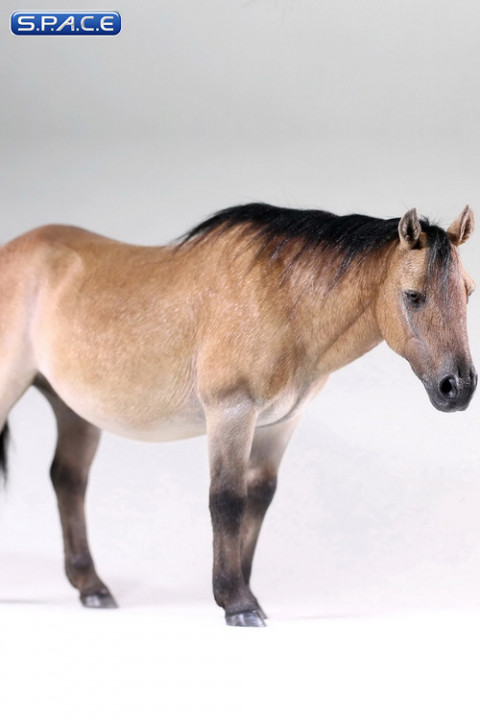 1/6 Scale yellow dun Mongolica Horse