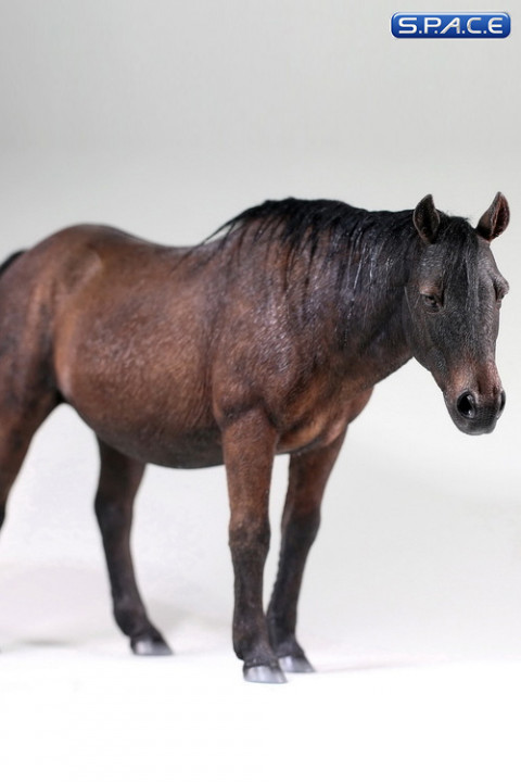 1/6 Scale brown Mongolica Horse