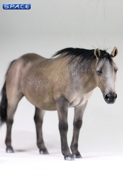 1/6 Scale grey dun Mongolica Horse