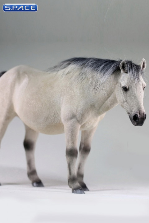 1/6 Scale white Mongolica Horse