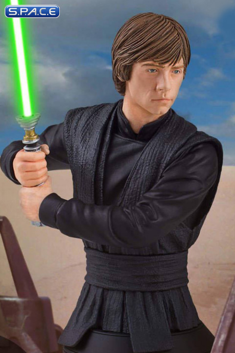 1/6 Scale Luke Skywalker Jedi Knight Bust SDCC 2018 Exclusive (Star Wars)