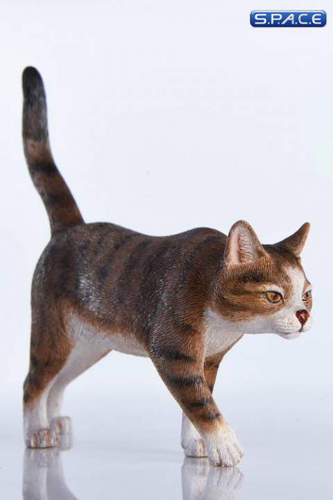 1/6 Scale white & brown tabby Cat