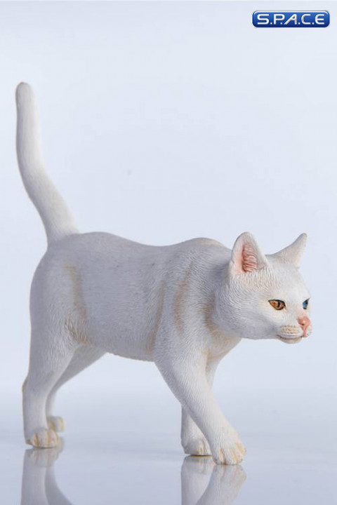 1/6 Scale white Cat