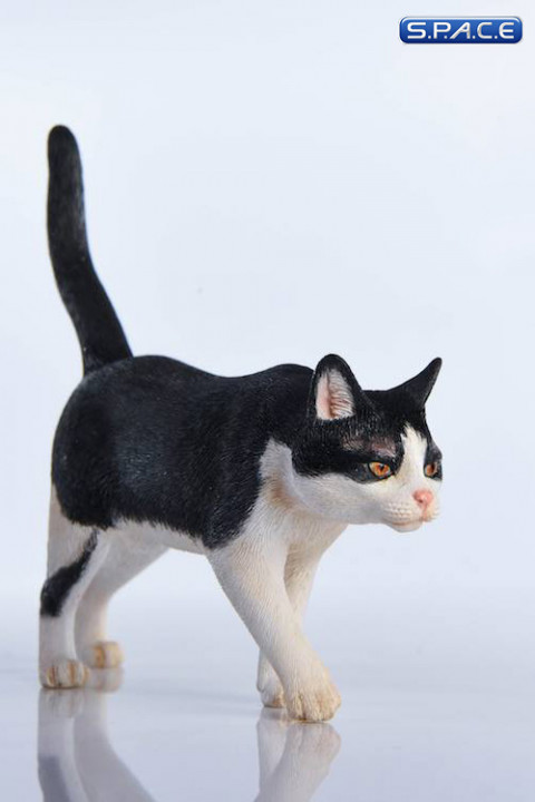 1/6 Scale tuxedo Cat