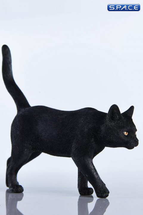 1/6 Scale black Cat