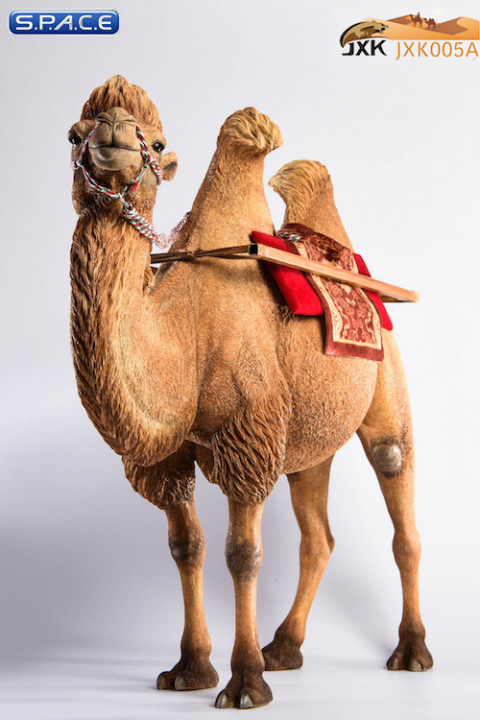 1/6 Scale golden Camel