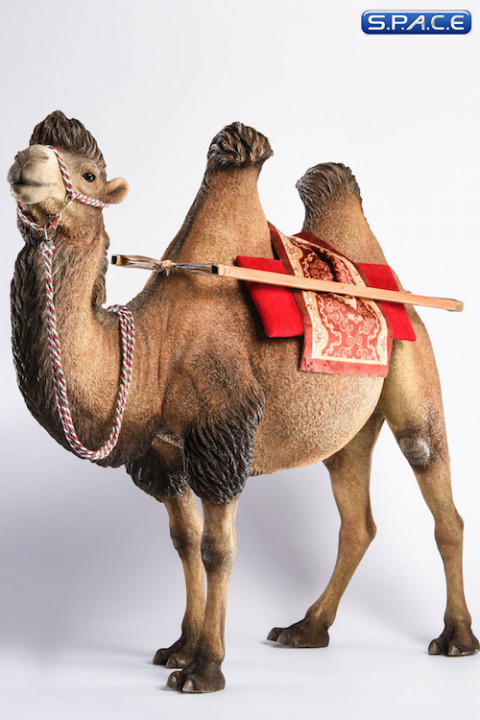 1/6 Scale brown Camel