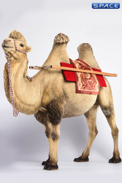 1/6 Scale sand Camel