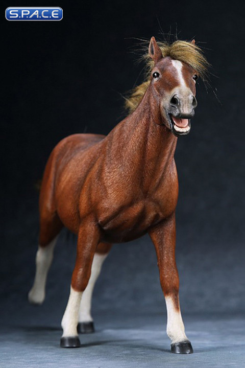 1/6 Scale sorrel walking Mongolica Horse