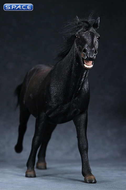 1/6 Scale black walking Mongolica Horse