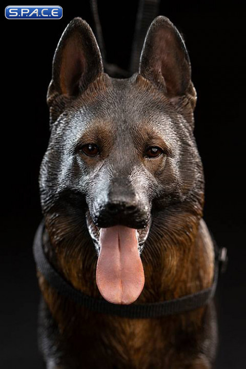 1/6 Scale German Shepherd black