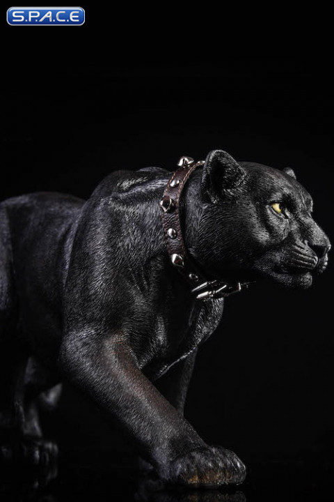 1/6 Scale black Leopard