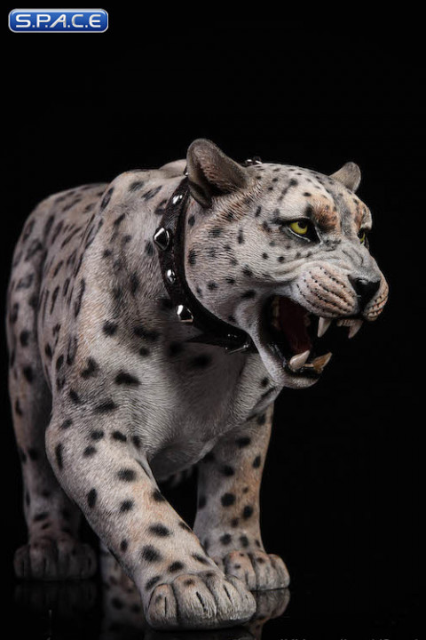 1/6 Scale bright pattern Leopard