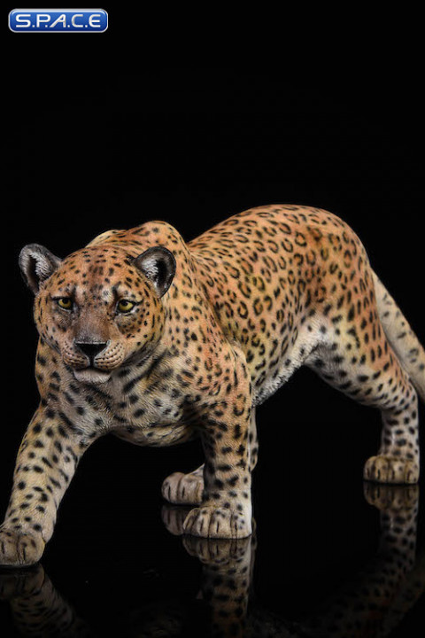 1/6 Scale classic pattern Leopard